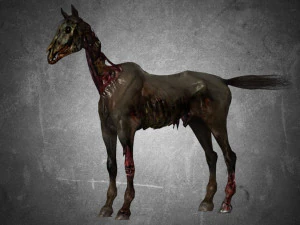 тварина - кінь c06 nogear 3D Модель