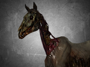animal - horse c06 nogear 3D Модель