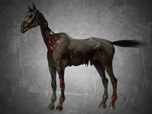 collection animal - horse c01-c06 Model 3D