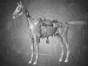 collection animal - horse c01-c06 Model 3D