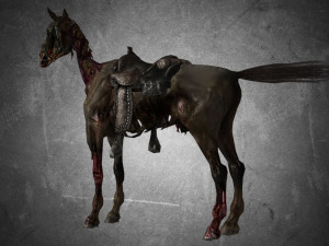 collection animal - horse c01-c06 Model 3D
