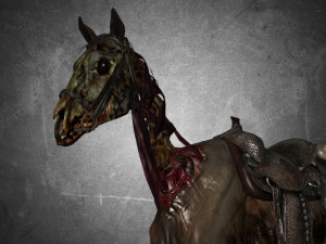 collection animal - horse c01-c06 Model 3D