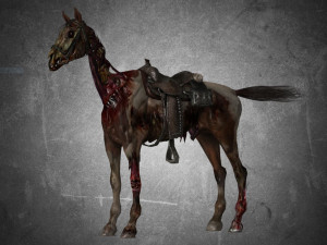 collection animal - horse c01-c06 Model 3D