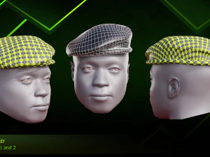 20 Different Hats 3D Model