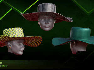 20 Different Hats 3D Model