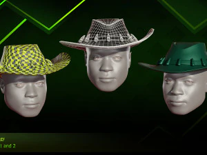 20 Different Hats 3D Model