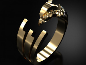 condor ring 3d print model 3D 打印模型