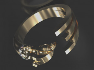 condor ring 3d print model 3D Print Model