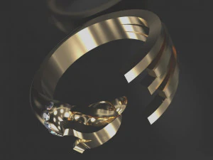 condor ring 3d print model 3D Print Model