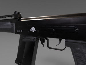 12 3D Model