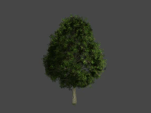 game objects 3D Model