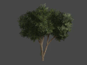 game objects 3D Model