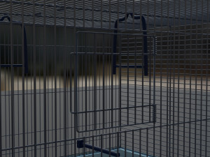of a cage for parrots 3D Model