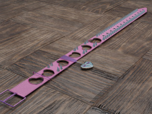 dog collars in different styles 3D Model