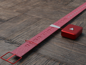 dog collars in different styles 3D Model