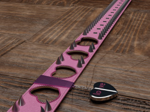 dog collars in different styles 3D Model