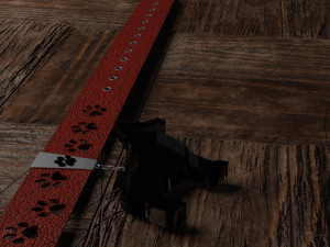 dog collars in different styles 3D Model