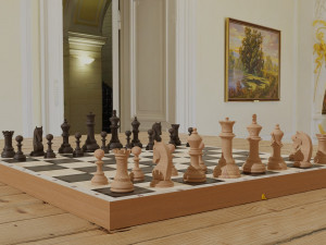 chessboard model cobined with backgammon 3D Model