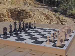chessboard model cobined with backgammon Model 3D