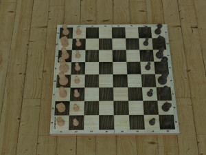 chessboard model cobined with backgammon Model 3D