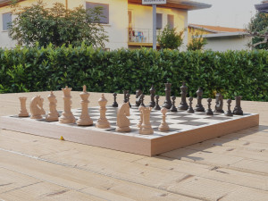 chessboard model cobined with backgammon Model 3D