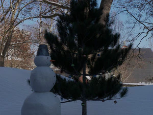 soil snowman with christmas tree and toys on it 3D Model