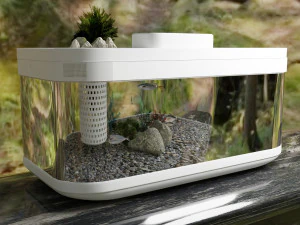 xiaomi brand aquarium 3D Model