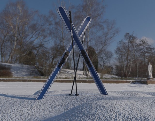 downhill skis 3D Model .c4d .max .obj .3ds .fbx .stl .blend 