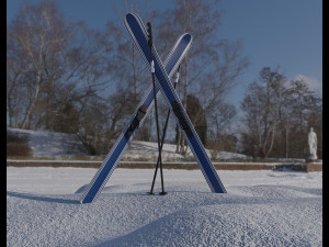 downhill skis 3D 模型