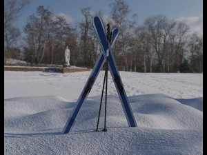 downhill skis 3D Model