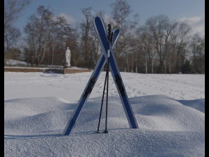 高山滑雪板 3D 模型