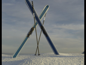 downhill skis 3D Model