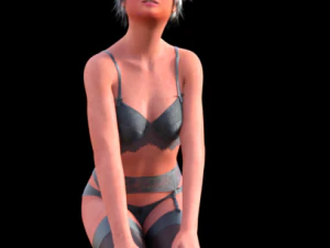 섹시한 란제리 3D 모델