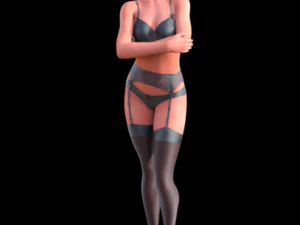 섹시한 란제리 3D 모델