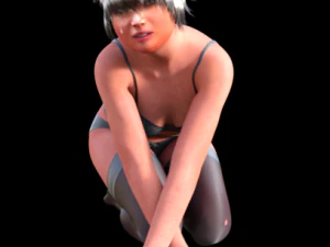 섹시한 란제리 3D 모델