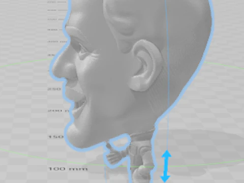Boneco caricato do senna f1 3D Print Model