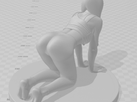 Bonecos 3d style manga anime women lolli caricato 3D Print Model