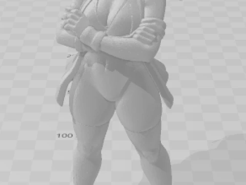 Bonecos 3d style manga anime women lolli caricato 3D Print Model