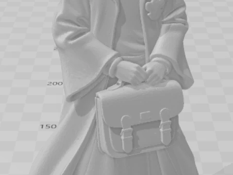 Bonecos 3d style manga anime hermione harry potter caricato 3D Print Model