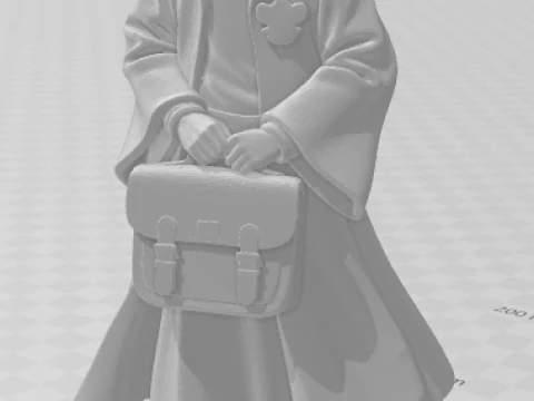 Bonecos 3d style manga anime hermione harry potter caricato 3D Print Model