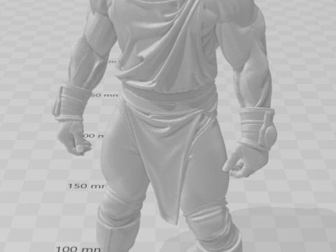 Bonecos 3d style manga anime warrior mask lutador mascarado caricato 3D Print Model