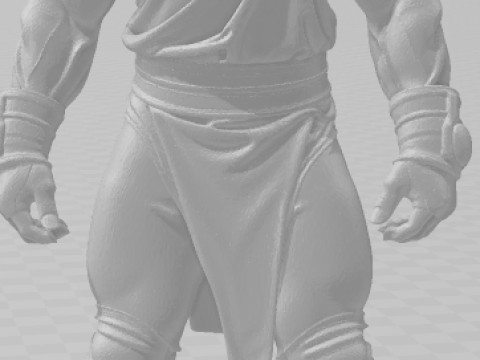 Bonecos 3d style manga anime warrior mask lutador mascarado caricato 3D Print Model