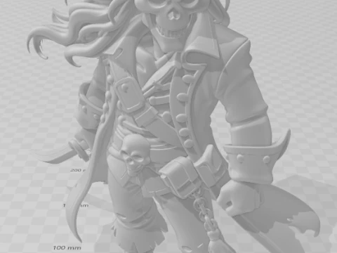 Bonecos 3d style manga anime caveira pirata caricato 3D Print Model