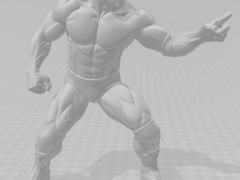 Bonecos 3d style manga anime men the rock style caricato 3D Print Model