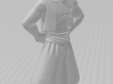 Bonecos 3D 风格漫画动漫阿拉丁风格 caricato 3D 打印模型