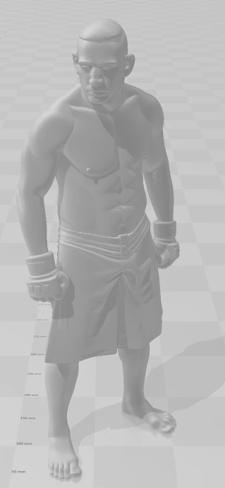 Bonecos 3d style manga anime fabricio vai cavalo werdum style caricato 3D Print Model .c4d .max .obj .3ds .fbx .stl .blend 