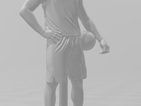 Bonecos 3d スタイル マンガ アニメ レブロン ジェームズ バスケットボール スタイル カリカート 3Dプリントモデル