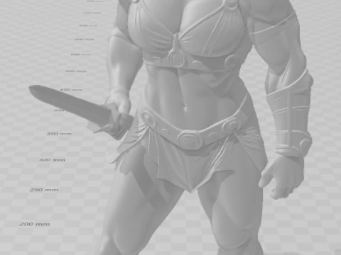 Bonecos 3d style manga anime woman warrior lolli guerreira style caricato 3D Print Model
