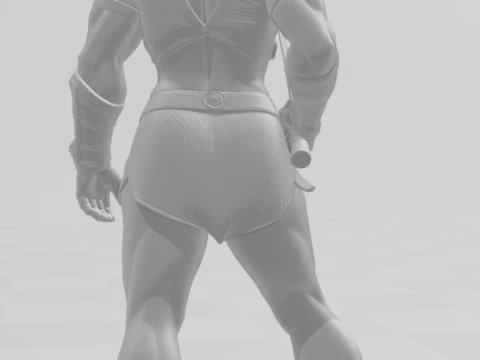 Bonecos 3d style manga anime woman warrior lolli guerreira style caricato 3D Print Model