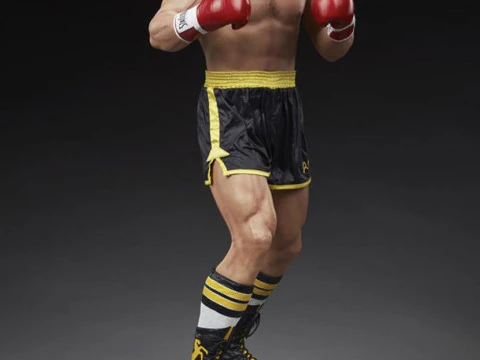 Bonecos 3d style manga anime sylvestre rocky balboa style caricato 3D Print Model